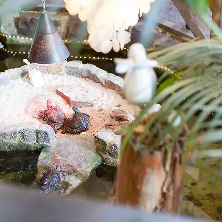 Garni Am Deich * זינקסט