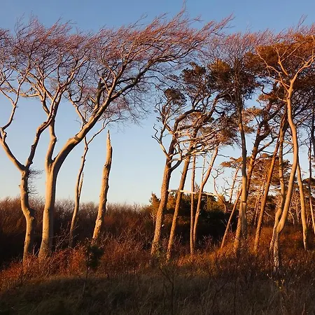 מלון Garni Am Deich