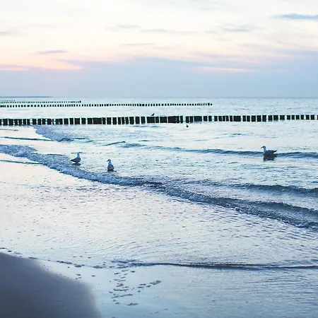 Garni Am Deich מלון